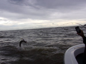 Silver King Fishing Lodge, Costa Rica